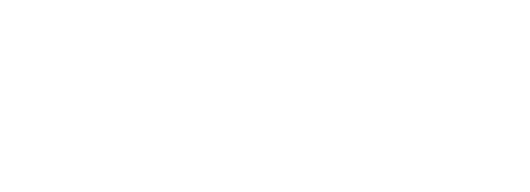 WDS Logo